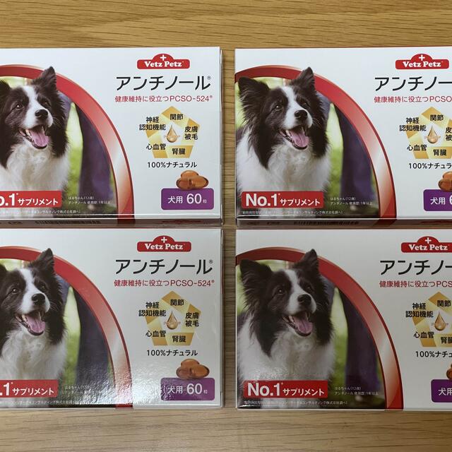 犬用アンチノール60粒入り新品未開封４箱