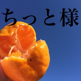 ちっと様専用　和歌山県産ゆら早生みかん　赤秀S5kg(フルーツ)