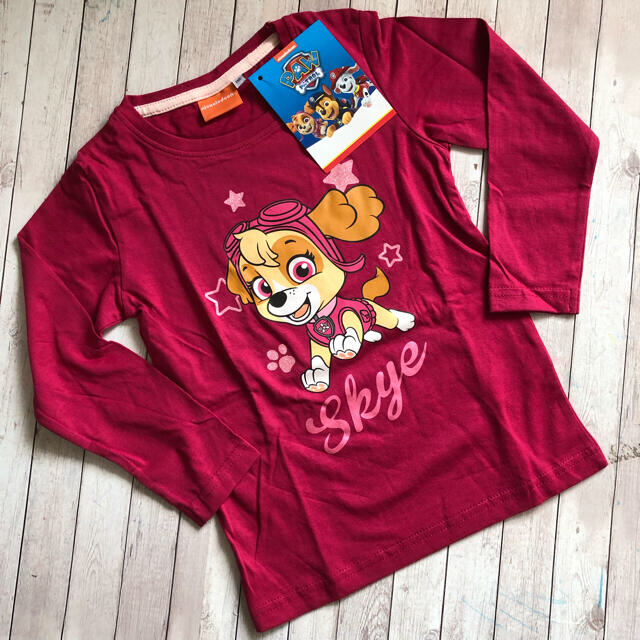 専用☆パウパトロール スカイロンT2枚 キッズ/ベビー/マタニティのキッズ服女の子用(90cm~)(Tシャツ/カットソー)の商品写真