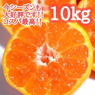 1早生みかん10kg 評価3000件超！大好評！コスパ◎ 佐賀県産 ミカン(フルーツ)