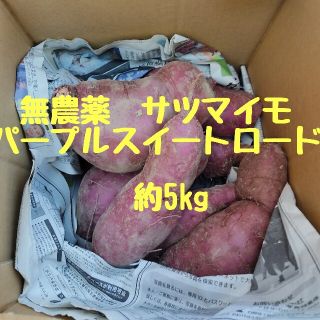 無農薬　サツマイモ　パープルスイートロード　箱込み約5キロ(野菜)