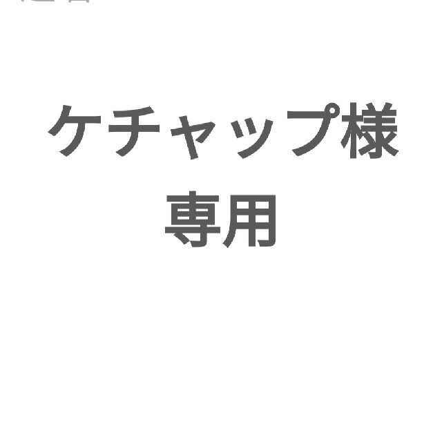 ケチャップ様 専用出品の通販 by かめうさ's shop|ラクマ