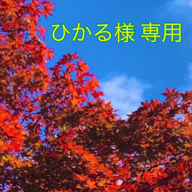 おさかな????ドール　プチブライスカスタム　ボーイ