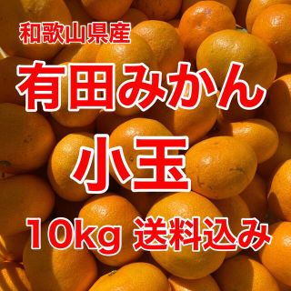 有田みかん🍊小玉🍊10㎏🍊家庭用🍊送料込み(フルーツ)