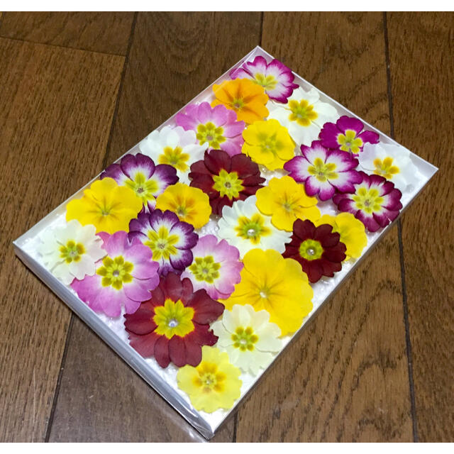 3225  銀の紫陽花が作った彩りプリムラのドライフラワー ハンドメイドのフラワー/ガーデン(ドライフラワー)の商品写真