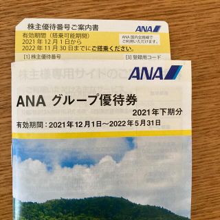 ana 株主優待　1枚(その他)