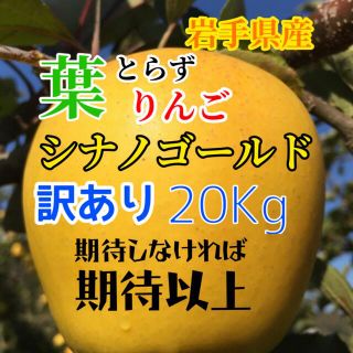 【送料込】訳あり葉とらずりんご シナノゴールド 約20kg(フルーツ)