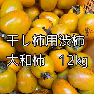 格安　徳島県産　干し柿用渋柿　大和柿　12kg(フルーツ)