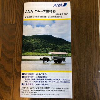 ANAグループ優待券冊子(その他)