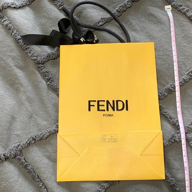 FENDI(フェンディ)のFENDI 紙袋 レディースのバッグ(ショップ袋)の商品写真