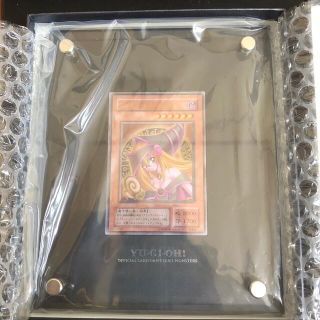 ユウギオウ(遊戯王)の遊戯王　ブラックマジシャンガール　ステンレス　(シングルカード)