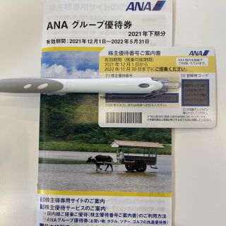 エーエヌエー(ゼンニッポンクウユ)(ANA(全日本空輸))のANA株主優待(その他)