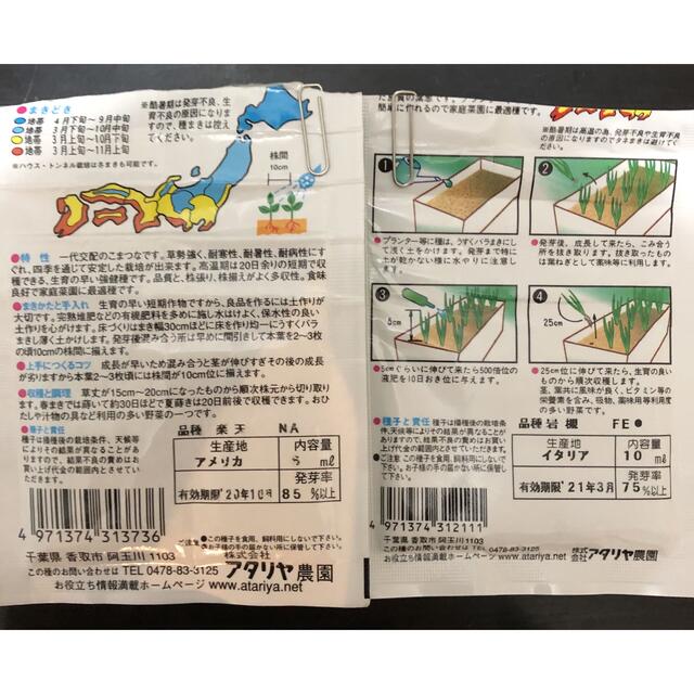 野菜の種 3種セット 食品/飲料/酒の食品(野菜)の商品写真