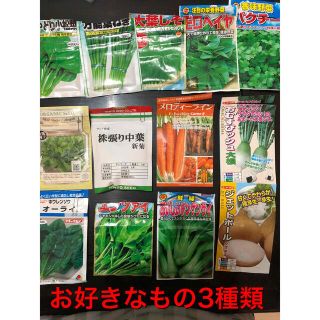 野菜の種 3種セット(野菜)