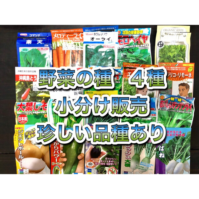 野菜の種　4種セット 食品/飲料/酒の食品(野菜)の商品写真