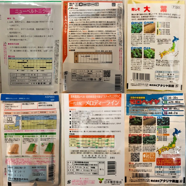 野菜の種　4種セット 食品/飲料/酒の食品(野菜)の商品写真