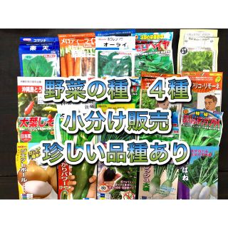 野菜の種　4種セット(野菜)