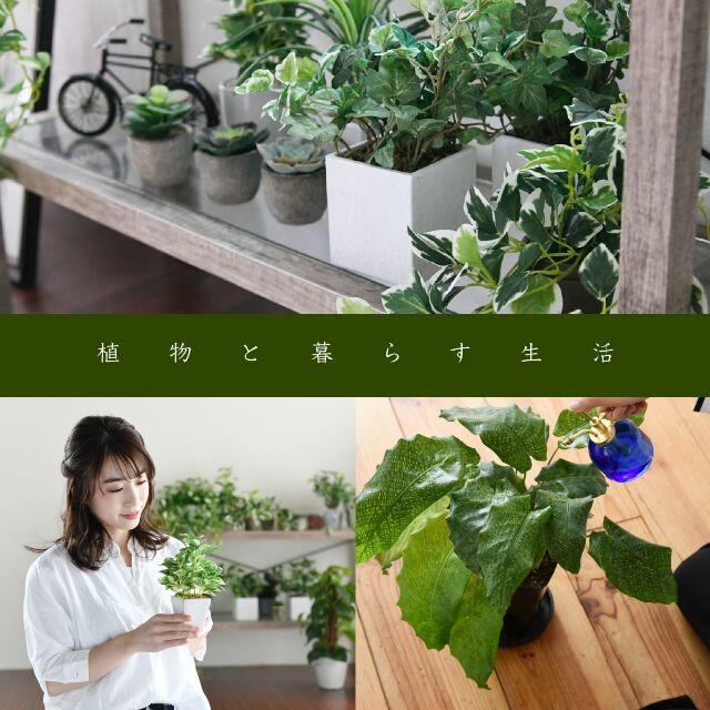 頑丈 横長 大きい かわいい コーナー 観葉植物 リビングテーブル ナチュラルの通販 By Hals Com ラクマ