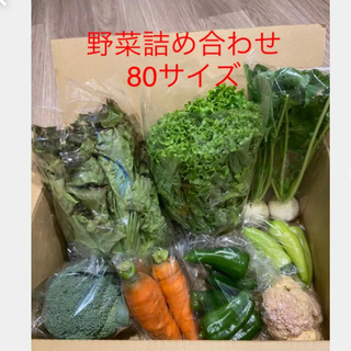 野菜詰め合わせ　80サイズ(野菜)