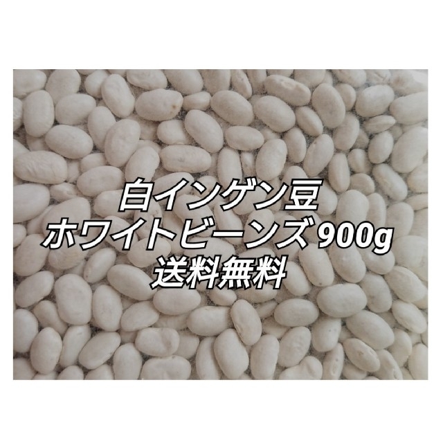 白いんげん豆/ホワイトビーンズ900g(グレートノーザンビーンズ )乾燥豆 食品/飲料/酒の食品(米/穀物)の商品写真