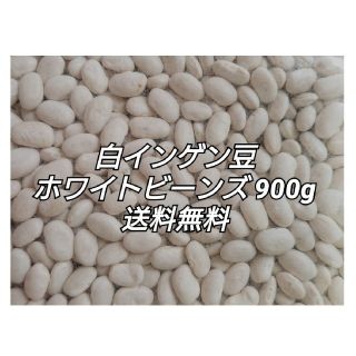 白いんげん豆/ホワイトビーンズ900g(グレートノーザンビーンズ )乾燥豆(米/穀物)