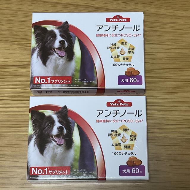 犬用アンチノール 60粒 2箱
