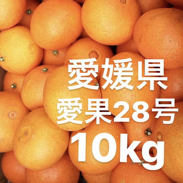 食品愛媛県　愛果28号　10kg
