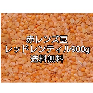 レッドレンティル900g/Red Lentil・赤レンズ豆・乾燥豆(米/穀物)