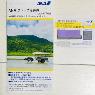 エーエヌエー(ゼンニッポンクウユ)(ANA(全日本空輸))のANA 株主優待 1枚(その他)