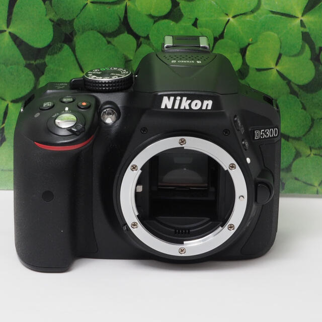 Nikon - 【美品】Wifi搭載❤️自撮りOK❤️ニコンD5300 2416万画素標準