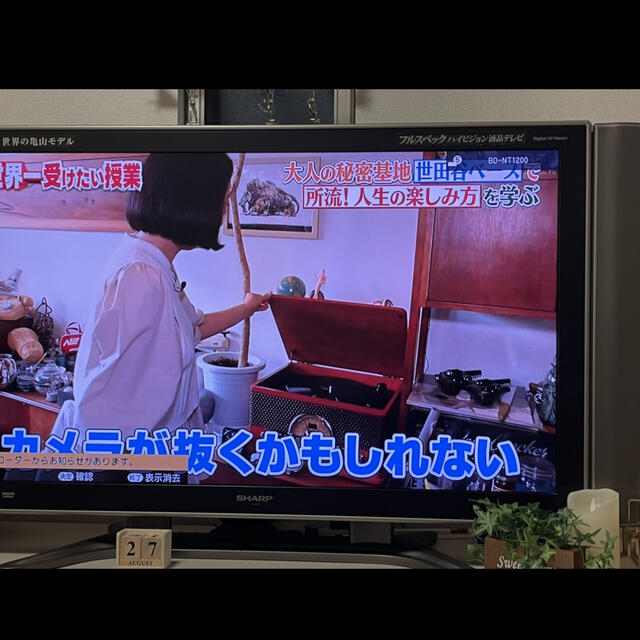 ION BT対応 オールインワンミュージックプレーヤー Superior LP