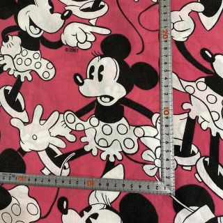 ディズニー(Disney)のさや様　専用(生地/糸)