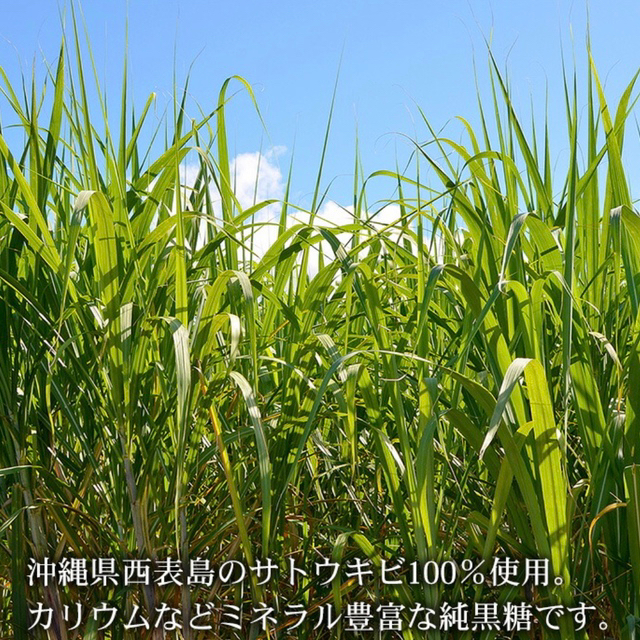 沖縄　ひとくち黒糖　西表島　垣乃花　お菓子 食品/飲料/酒の食品/飲料/酒 その他(その他)の商品写真