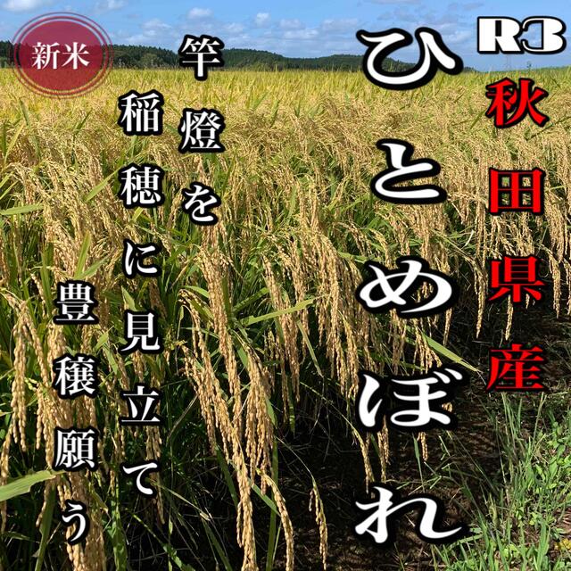 農家直送農家直送！令和3年 秋田県産【萌えみのり】玄米25kg 減農薬〈新米〉美味い☆