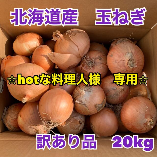 北海道産　玉ねぎ　訳あり品　20kg 食品/飲料/酒の食品(野菜)の商品写真