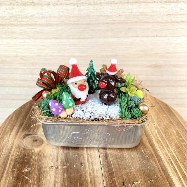 ですので 〜そのまま飾れる〜多肉植物寄せ植え(ハンドメイド、クリスマス)の通販 by mina's shop|ラクマ ですので