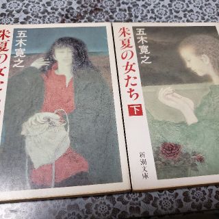 朱夏の女たち 上下巻セット(文学/小説)