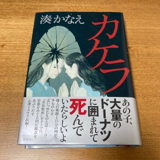 sari様専用　カケラ(文学/小説)