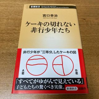 ケーキの切れない非行少年たち(その他)