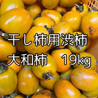 格安　徳島県産　干し柿用渋柿　大和柿　19kg(フルーツ)