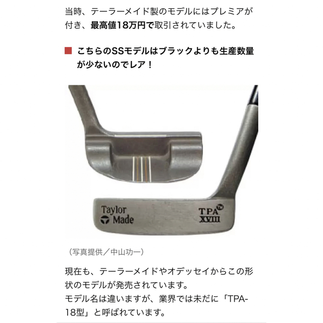 名器 テーラーメイド TPA 18 マレット パター 希少 レア-