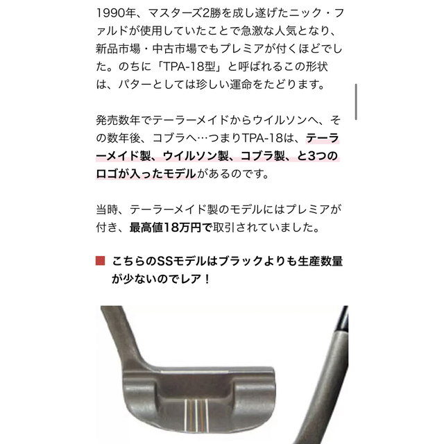 新規登録25%OFF テーラーメイド 名器 TPA 18 マレット パター レア