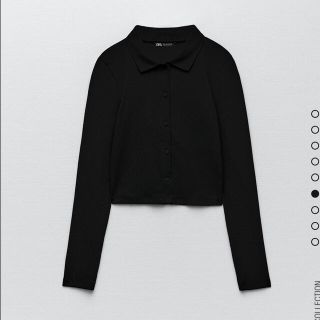 ザラ(ZARA)のZARA リブ地ポロシャツ(ポロシャツ)