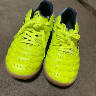 アンブロ(UMBRO)のumbro フットサルシューズ　24.5cm(シューズ)