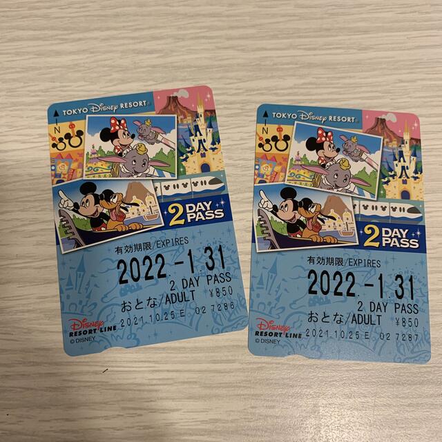 ディズニー　モノレール　2day チケットの施設利用券(遊園地/テーマパーク)の商品写真