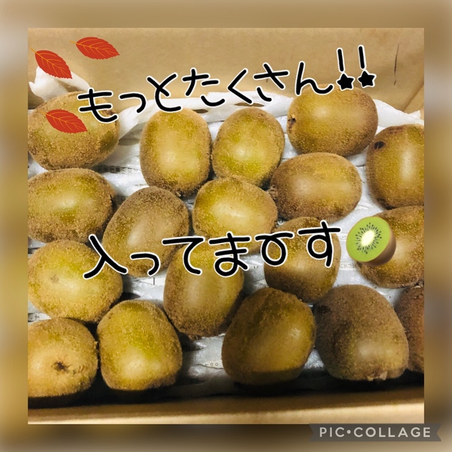 説明文必読　ゴールドキウイ　約3kg 青森県平川産　多少傷あり含む 食品/飲料/酒の食品(フルーツ)の商品写真