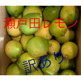 国産レモン　5キロ　(フルーツ)