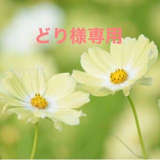 どり様専用(ネイル用品)