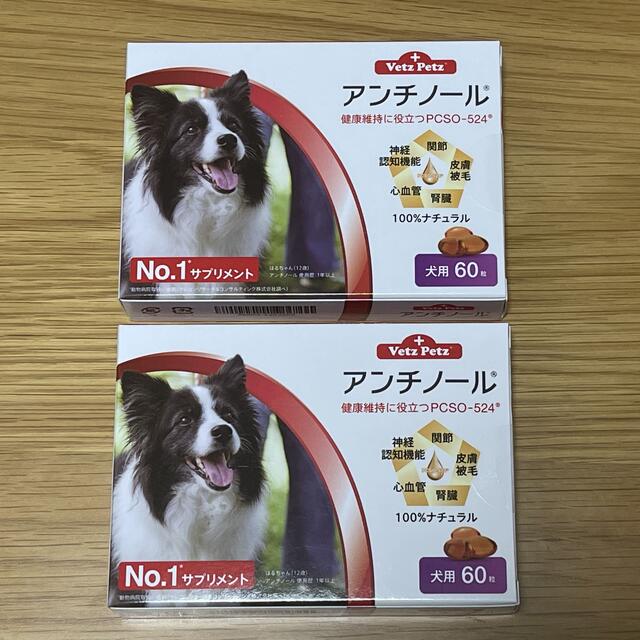 犬用アンチノール 60粒 2箱
