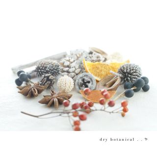 dry botanical /  #25 クリスマス, 木の実, ハンドメイド(ドライフラワー)